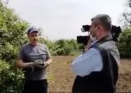 AK Partiden Mersinde CHPnin limon kumpası hakkında suç duyurusu! Gözaltılar var