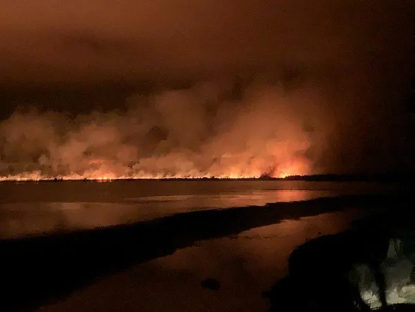 Samsun'da, sazlıkta çıkan yangın ormana sıçradı-2