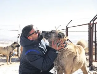 Amerikan yıldızı Kangal