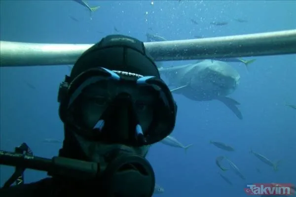 Sadece selfie çekmek istemişti! Başına öyle bir şey geldi ki... - 47