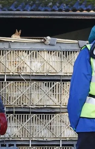 Ülke şoka girdi! 2018'den sonra bir kez yaşanıyor