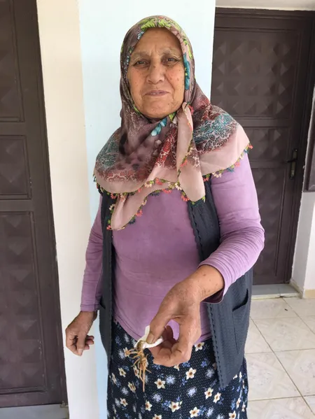 Evinin salonunda gördü gözlerine inanamadı! Et yiyen örümcek...-3