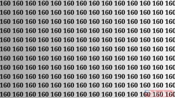 Sizden istenen, bu farklı sayıyı en kısa sürede fark etmek. Süre başladı... 5.... 4.... 3...