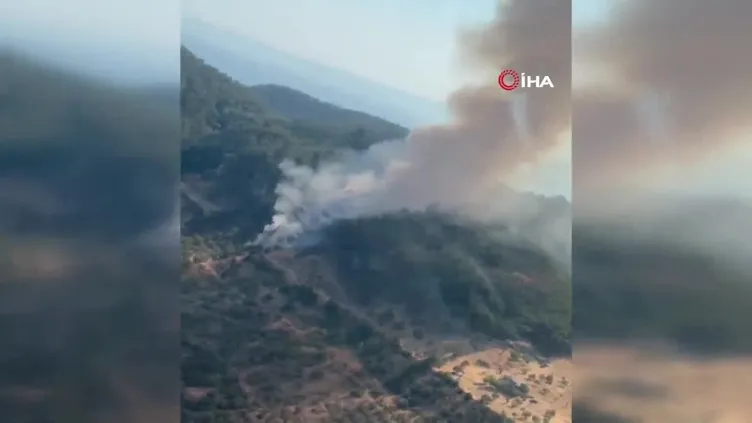 Ayvacık’ta orman yangını! Havadan ve karadan müdahale ediliyor