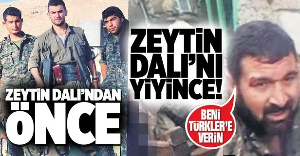 Zeytin Dalı’ndan önce... Zeytin Dalı’nı yiyince!