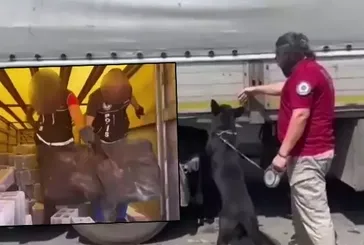 4 ilde zehir tacirlerine baskın!