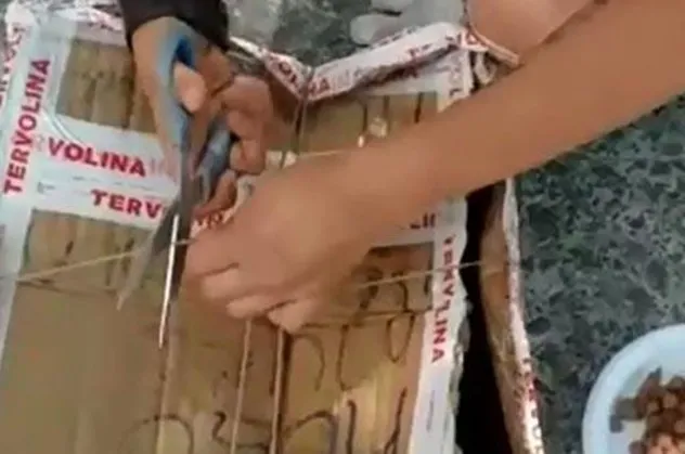 Bozcaada'da büyük vicdansızlık! Ölüme terk ettiler