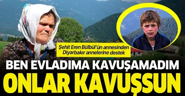 ​Şehit Eren Bülbül’ün annesi Ayşe Bülbül: Ben evladıma kavuşamadım onlar kavuşsun