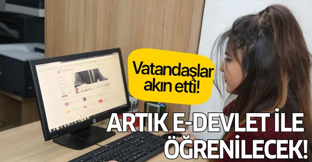 E-devlet sabit hat sorgulama nasıl yapılır? E-devlet girişi nasıl yapılır, şifresi nereden alınır?