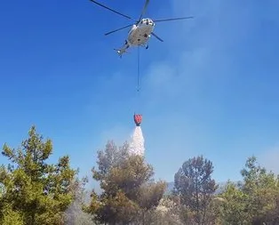 Hatay Amanos Dağları’nda yangın