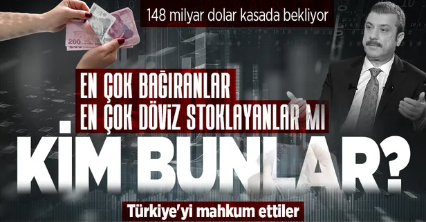 Döviz stokçuları kim? 'En çok bağıranlar dövizi en çok stoklayanlar mı?'
