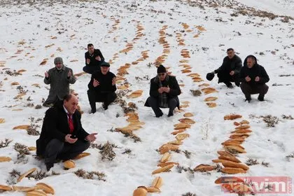 Erzurum esnafı ’kaza bela def olsun’ diye doğaya 2001 ekmek bıraktı