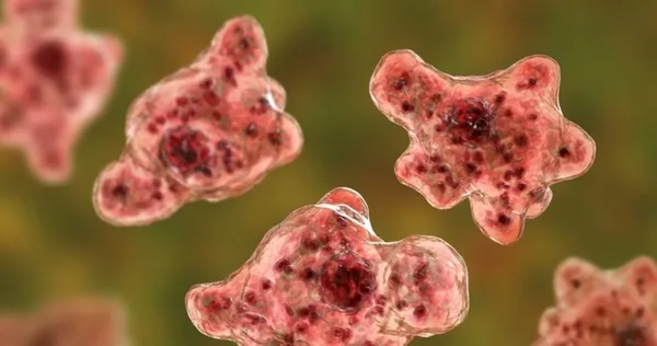 Koronavirüsten sonra yeni tehlike! Kaplıcalarda beyin yiyen amip! Beyin yiyen amip nedir, belirtileri nelerdir?-3