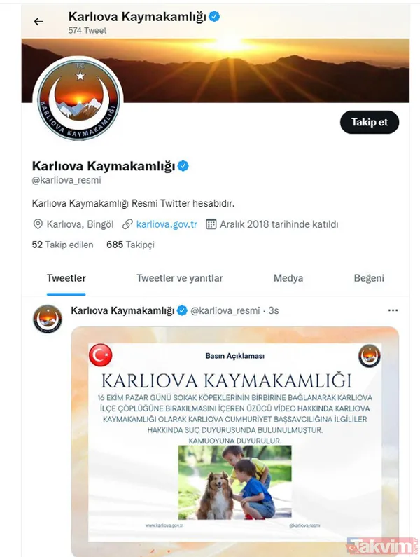 Bingöl Karlıova'da dehşet görüntü! Köpekler iple birbirine bağlanıp çöplüğe bırakıldı - 5