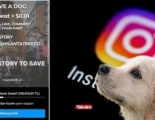 Save a dog bağışı nedir? Instagram ’Save A Dog’ bağışı nasıl yapılır?