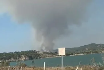 Adana Sarıçam’da orman yangını!
