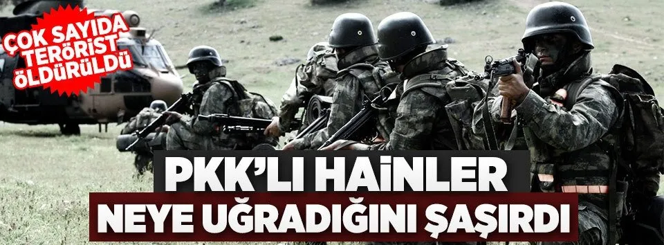 Saldırıya gelen hainler pişman edildi