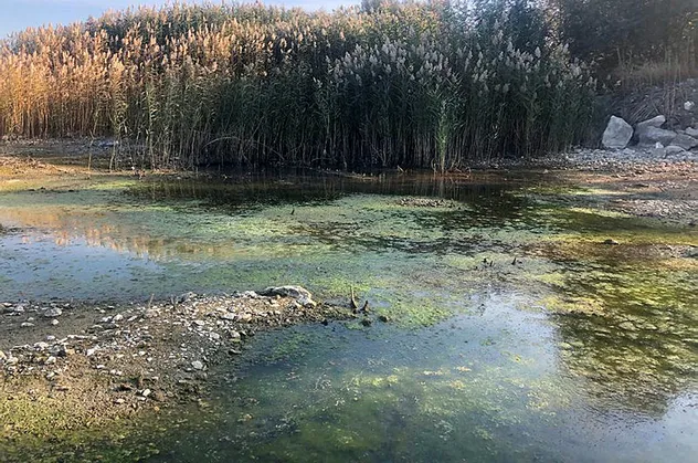 İki ilin suyu tehlikede! Uzmanlardan 'dip suyu' alarmı