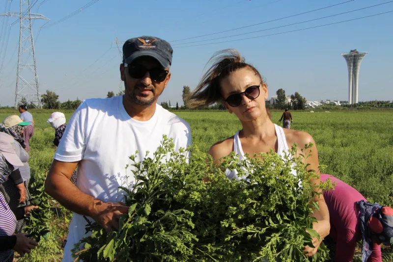 17 yıllık mesleğini bıraktı, servetine servet kattı - 2