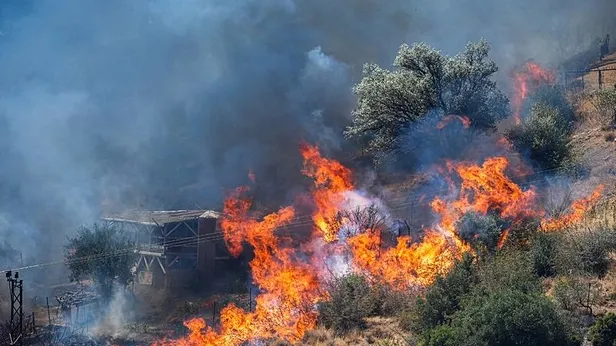 Çankırıdaki orman yangını kontrol altında