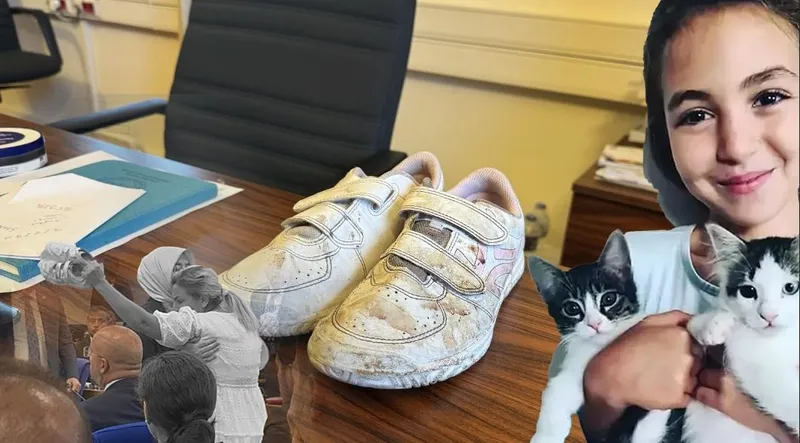 MASAK'ın mama lobisi raporu ortaya çıktı! İşte sokakları terörize eden sözde hayvanseverlerin 4 ayaklı çetesi-8