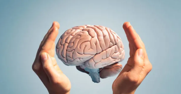 Tek baharatla çelik gibi beyne sahip olun: 1 tatlı kaşığı ile Alzheimer'a iyi geliyor!