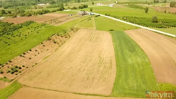Milli Emlak İhalesine Kimler Katılabilir? 🔹 Türkiye Cumhuriyeti Vatandaşı Olan Herkes Bu İhalelere Katılabilir. 🔹 18 Yaşını Doldurmuş Olmak Gerekiyor. 🔹...