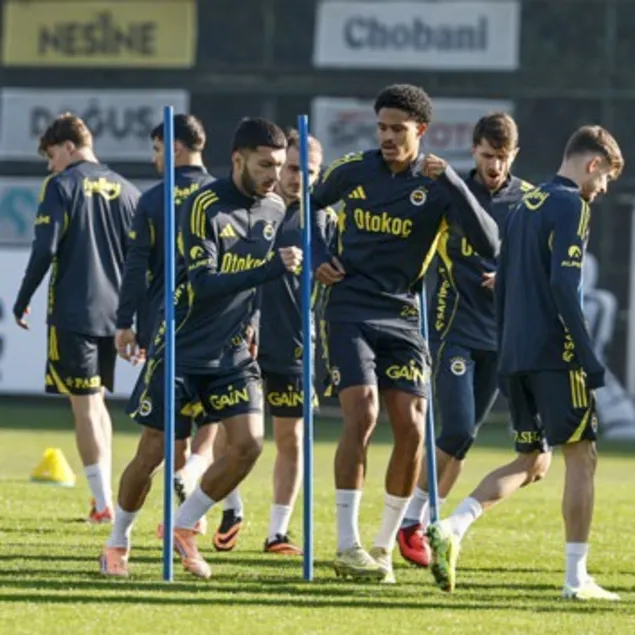 Kanarya hazır kıta