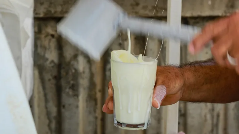 1-2-bardak-icerek-litre-litre-ter-atin-odemi-toksinleri-yagi-parca-pincik-eden-diyet-listesi-1717160971696.jpg Ödemi, toksinleri, yağı parça pinçik eden diyet listesi: 1-2 bardak içerek litre litre ter atın!-4