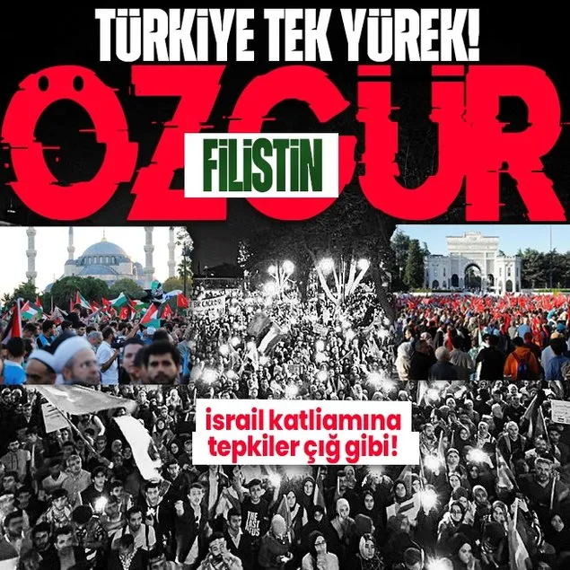 Türkiye Filistin için tek yürek!