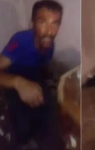 Son dakika: Adana'da kedilere işkence iddiası sosyal medyayı ayağa kaldırdı