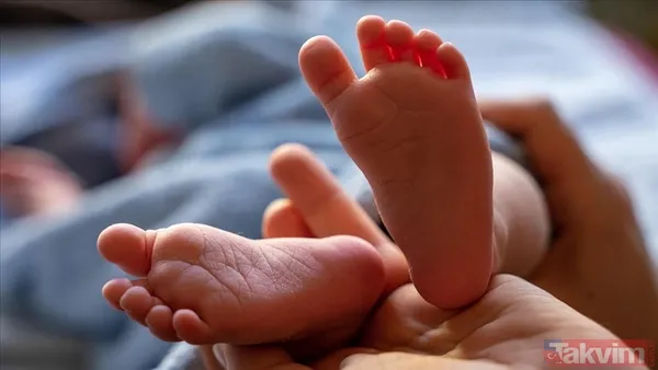 Besin Profili: Brown; Kahvaltıda Tereyağlı Yumurta Ve Pastırma, Öğle Ve Akşam Yemeklerinde İse Biftek Ve Kıymalı Sote Tüketmeye Başladı. Kritik Besin Maddeleri:...