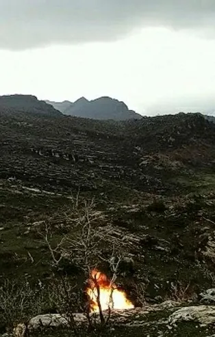 Son dakika: Siirt'in Eruh ilçesinde PKK'lı teröristlerce tuzaklanan EYP düzeneği imha edildi