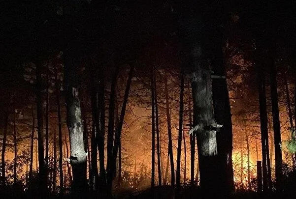 İstanbul Çekmeköy’de orman yangını