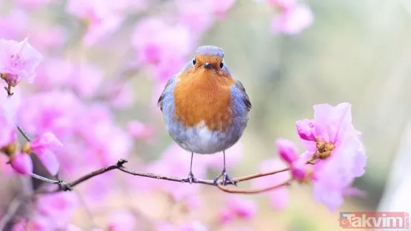 "Mayıs'ın Taptaze Enerjisiyle, Bu Yıl Dileklerimiz Kabul Olsun. #Hıdırellezdilekleri" "Doğanın Uyanışı, Yeniliklerin Başlangıcıdır. Her Şey Gönlünüzce Olsun,...