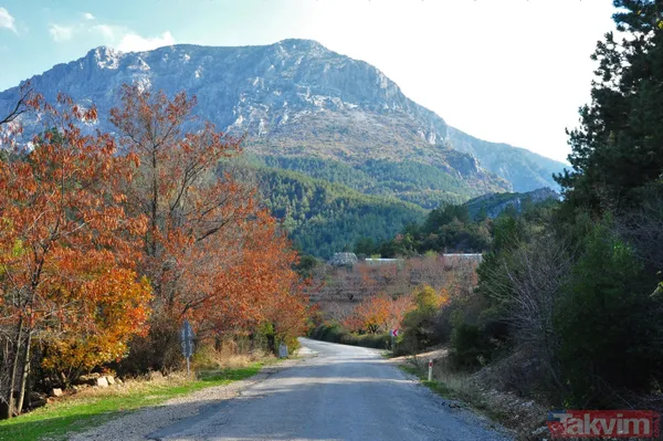 Manisa'da Spil Dağı Milli Parkı'nda muhteşem manzaralar - 15