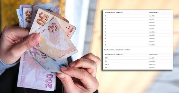 Temmuzun 17-23-28'inde IBAN'a geçecek! 15.1 milyon emekli için yedinci ay duyurusu yapıldı