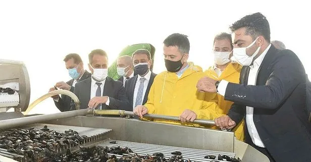 Pakdemirli'den kıyı balıkçılarına ödeme müjdesi