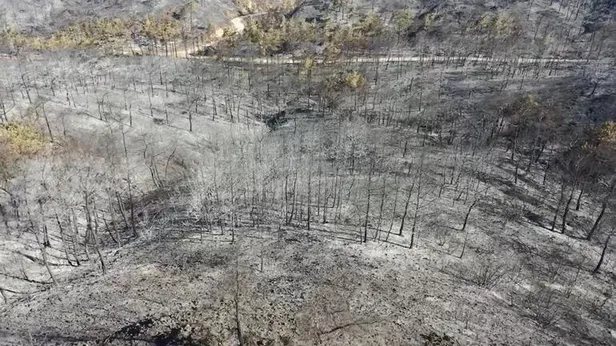 Marmaris'teki orman yangını 5'inci gününde! Bakan Kirişci açıkladı: Yangın kontrol altına alındı-4