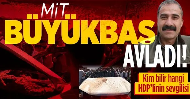 MİT büyük avladı!