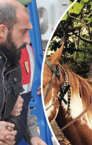 Fulya Özdemir cinayetinde karar belli oldu