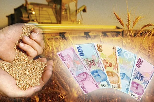 Tarım ve Orman Bakanlığı'ndan 'arpa fiyatı' açıklaması: "Çiftçinin zarara uğratıldığı iddiaları gerçeği yansıtmamaktadır"