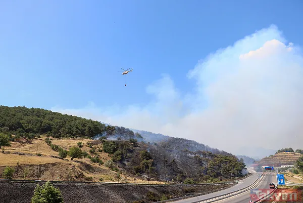 İzmir Bornova'da orman yangını: O yol kapatıldı - 13