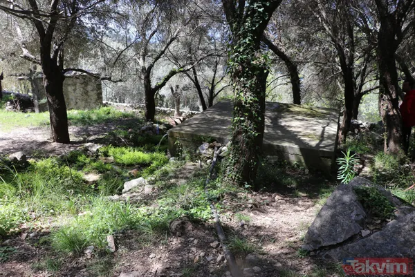 Adeta cennetten bir köşe! Kelebekler Vadisi'ni besleyen şelaleyi kurutan işletmelerin kaçak su kullanmaya devam ettikleri ortaya çıktı - 10