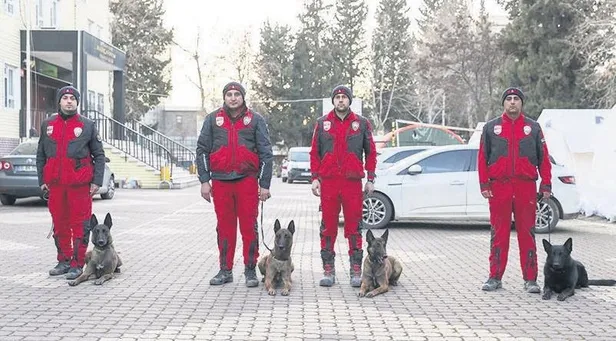 1676594392179.jpeg Süper köpekler 1322 kişinin enkazdan çıkartılmasını sağladı-2