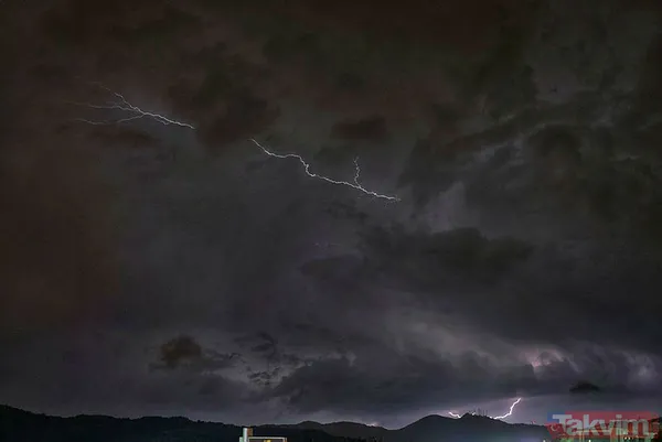 Muğla Bodrum'da hep aynı manzara! Evleri su bastı, sokak hayvanları boğuldu - 26