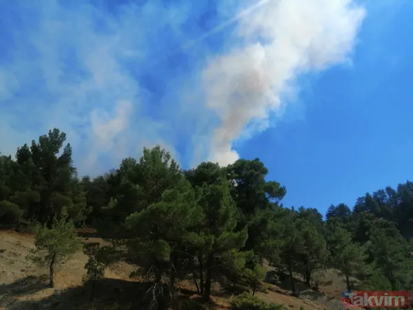 SON DAKİKA: Antalya Kaş'ta orman yangını! Kontrol altına alındı - 3