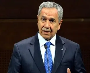 Siz ahmak değilsiniz sayın Arınç