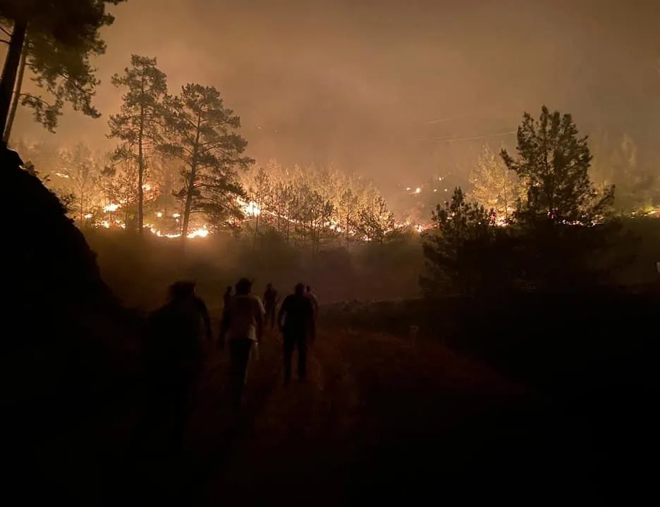 Sosyal medyada yalan terörü çöktü!