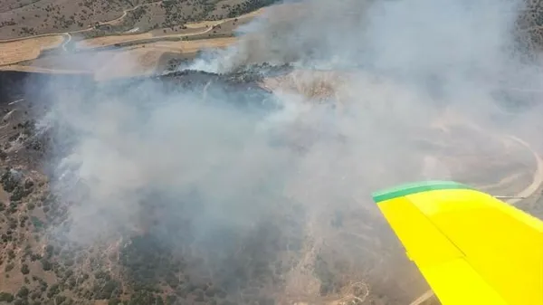 1688384251412.jpeg İzmir'de tarlada çıkan yangın, ormana sıçradı! Müdahaleler sürüyor-2